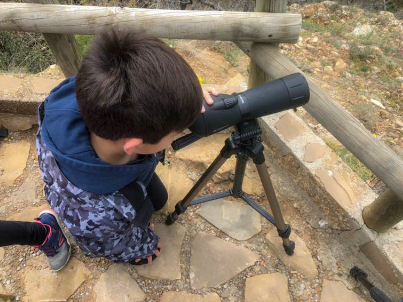 niño observando a través de un telescopio en la actividad quebrantahuesos Pirineos