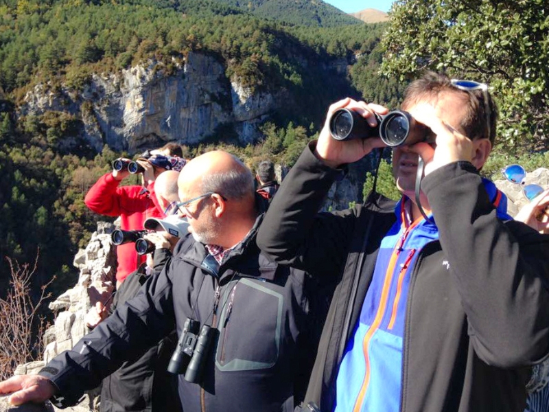 hombres adultos observando al quebrantahuesos Pirineos en un mirador de huesca