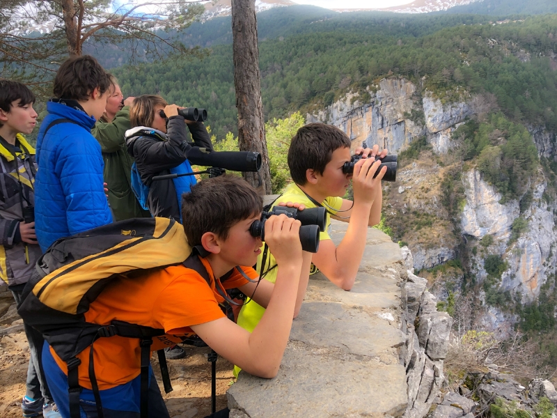niños observando al quebrantahuesos con prismáticos en el Pirineo